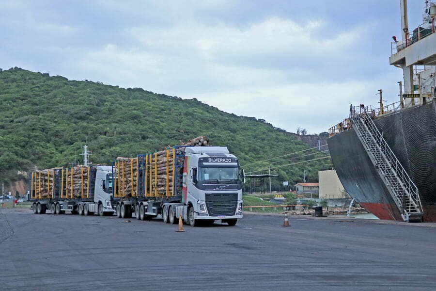 Porto de Imbituba realiza maior embarque de madeiras do país