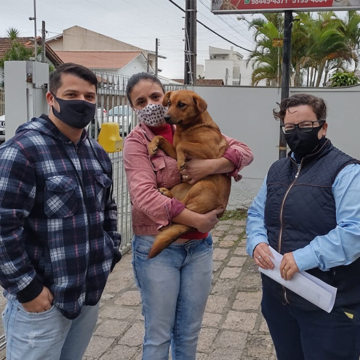 Castração de cães e gatos é intensificada em Capivari de Baixo