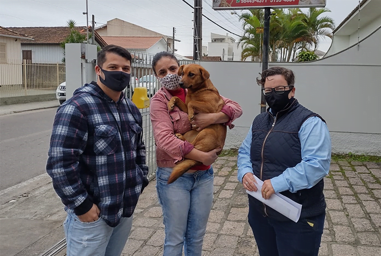 Castração de cães e gatos é intensificada em Capivari de Baixo