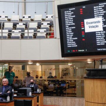 Alesc rejeita projeto que proibia corrida de cães em SC