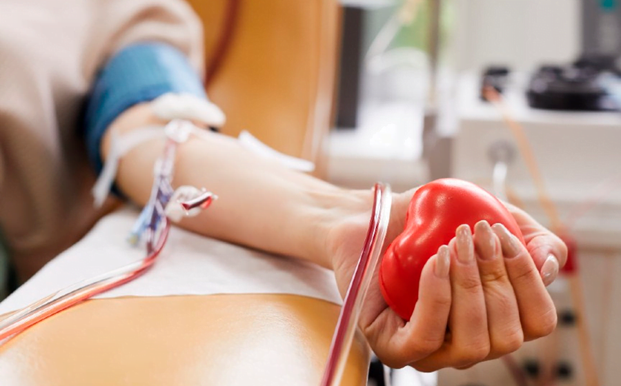 Hemosc solicita que a população realize doação de sangue