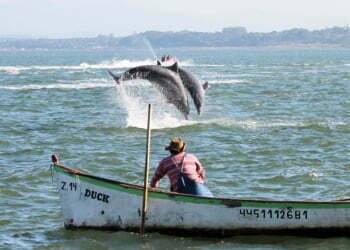 Foto: PML/ Divulgação/ UNITVSC