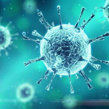 Santa Catarina chega a 20 mil mortes causadas pela covid-19