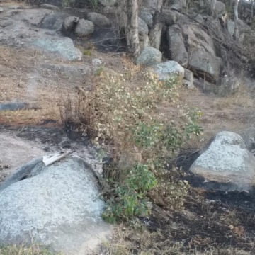 Funat alerta para os riscos de queimadas irregulares em terrenos ou espaços públicos Funat alerta para os riscos de queimadas irregulares em terrenos ou espaços públicos