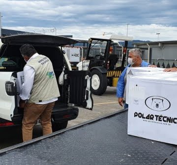 Crianças entre 5 e 11 anos vão começar a ser vacinadas contra a Covid-19 em Santa Catarina