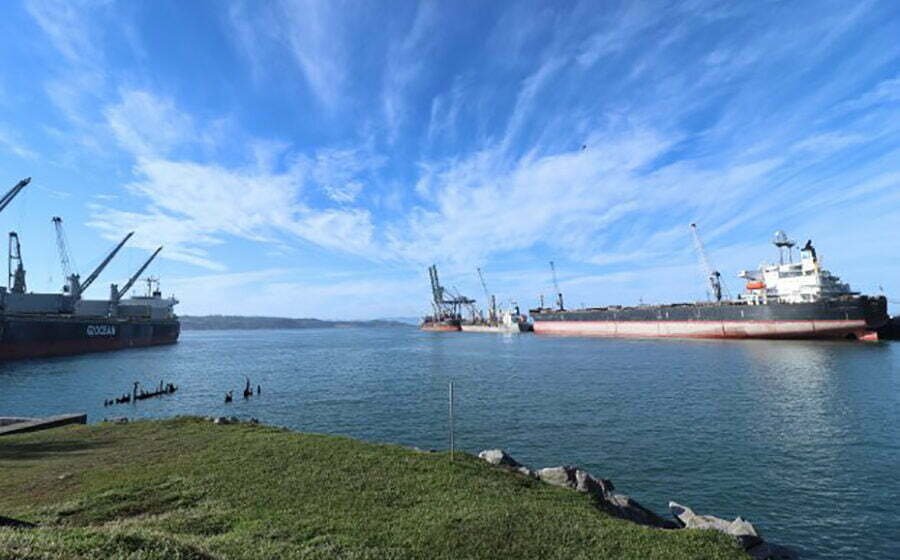 Porto de Imbituba alcança novo recorde histórico de movimentação anual
