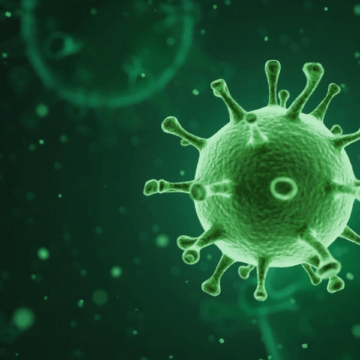 Tubarão chega a 500 mortes causadas pela covid-19