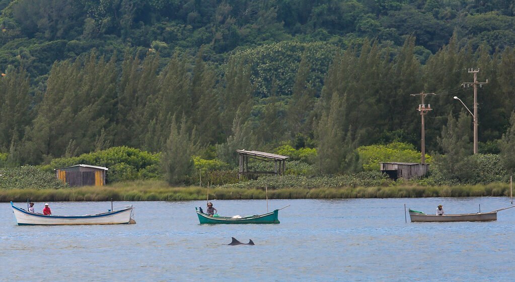 Programa SC Mais Pesca destina R$ 3,9 milhões para quatro municípios da Amurel