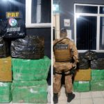 Casal é preso com mais de 120 quilos de maconha na BR-101, em Imbituba