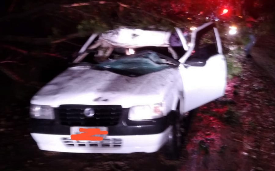 Veículo colide contra árvore caída no meio da estrada e deixa passageiros feridos