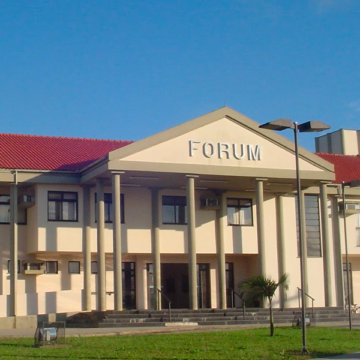 Justiça determina perda definitiva de 37 cães de canil clandestino em Jaguaruna