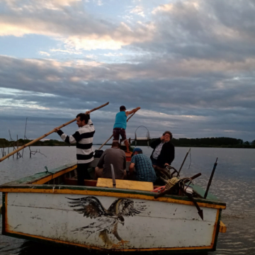 Projetos de restauração de mangues para gerar créditos de carbono são avaliados em Laguna