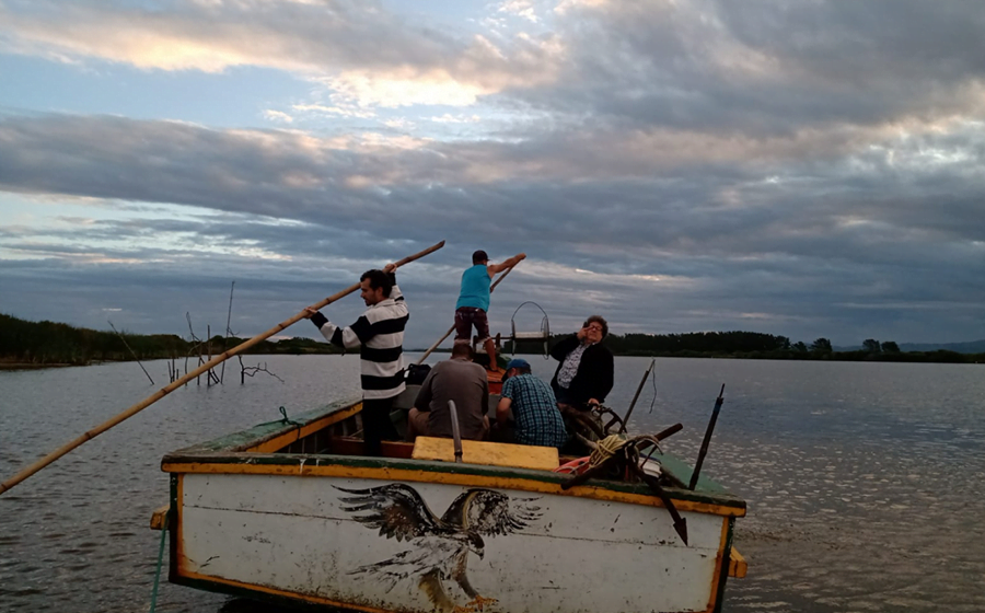 Projetos de restauração de mangues para gerar créditos de carbono são avaliados em Laguna