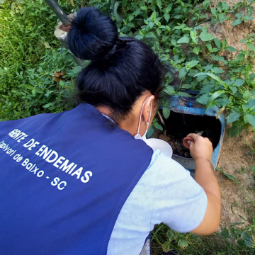 Capivari de Baixo prepara força-tarefa para combater mosquito da dengue