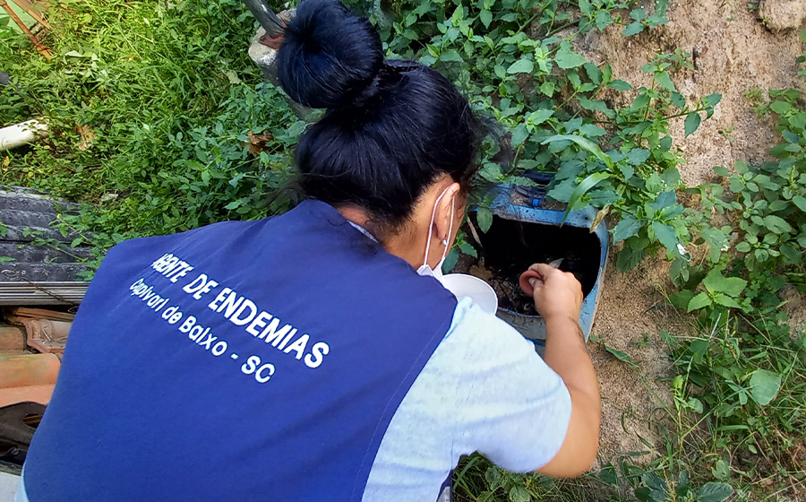 Capivari de Baixo prepara força-tarefa para combater mosquito da dengue