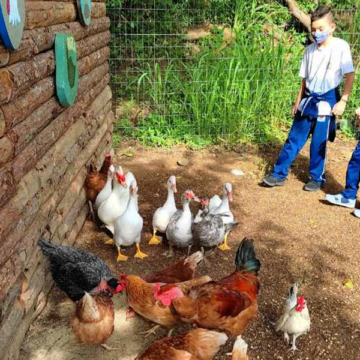 Escola de Laguna desenvolve projeto sustentável com reutilização de lixo orgânico