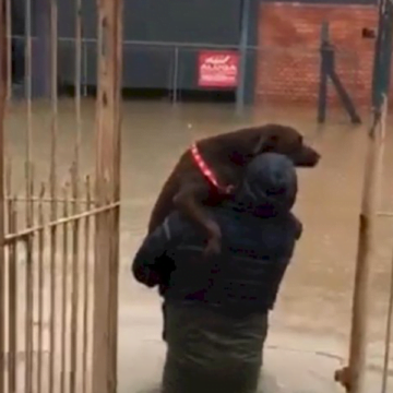 Funat solicita à população tubaronense doações de cobertores e ração