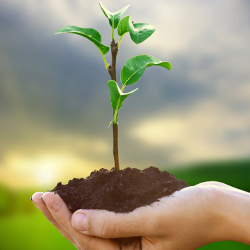 Capivari de Baixo promove Semana do Meio Ambiente a partir desta quarta-feira Capivari de Baixo promove Semana do Meio Ambiente a partir desta quarta-feira