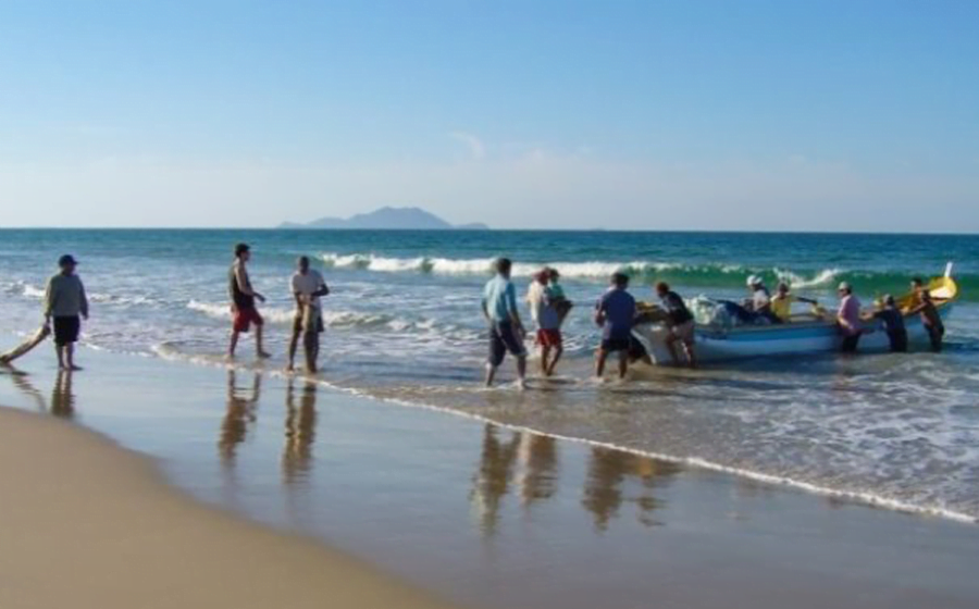 Pescadores Artesanais de Santa Catarina podem acessar material de educação financeira