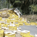 Motorista pula de caminhão em movimento depois de perceber que veículo estava sem freio