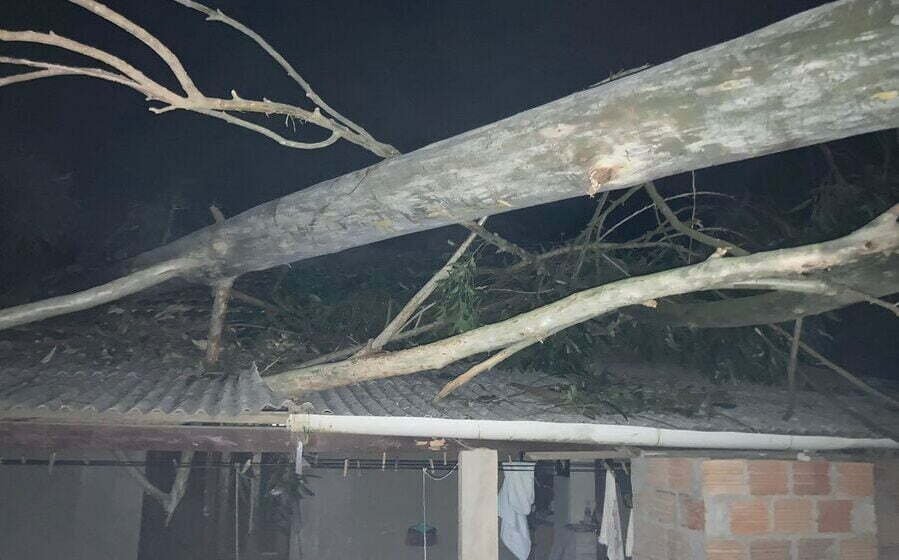 Morador fica gravemente ferido depois de árvore cair sobre sua casa Morador fica gravemente ferido depois de árvore cair sobre sua casa