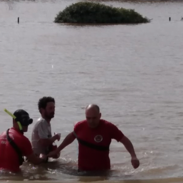 Condutor é encontrado pedindo socorro em cima de árvore após cair no rio