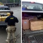 Caminhonete de Imbituba é flagrada com mais de 350 quilos de maconha na BR-101