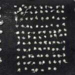 Com ajuda do cão farejador, polícia apreende 140 pedras de crack e porções de cocaína