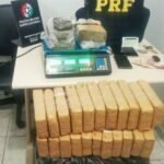Dois homens são presos com mais de 50 quilos de maconha após fugirem da polícia