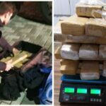 Passageiro de ônibus é preso com maconha na BR-101, em Imbituba