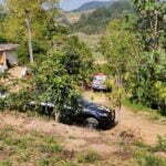 Quase meia tonelada de carne suína é apreendida em abatedouros clandestinos na região