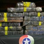 Motorista é preso transportando 125 quilos de maconha na BR-101