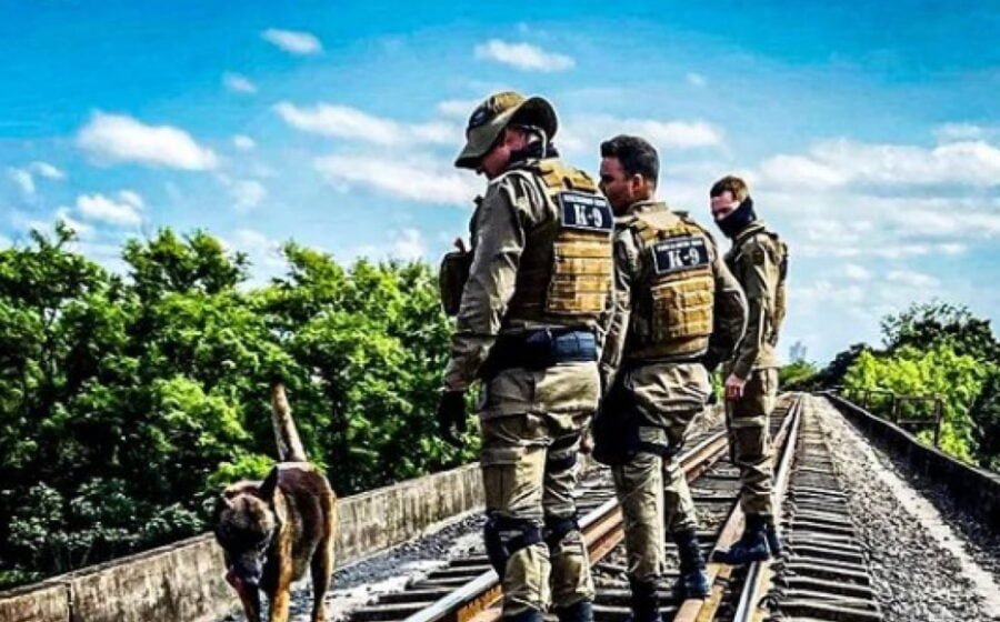 Polícia Militar apreende seis pacotes de cocaína durante operação com cão policial