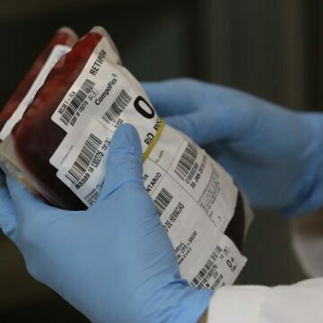 Hemosc comemora Dia Nacional do Doador de Sangue com programação em todo o estado Hemosc comemora Dia Nacional do Doador de Sangue com programação em todo o estado