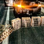 Mais de 80 aves silvestres são resgatadas de porta-malas de um carro na BR-101, em Laguna (1)