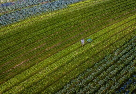 Santa Catarina lança Observatório Agro para acompanhar as tendências do setor rural