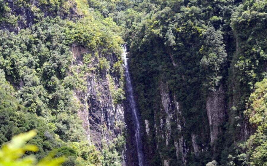 Santa Catarina institui Corredor Ecológico Caminho das Nascentes