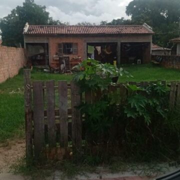 Morador e animais são resgatados de ataque de abelhas Morador e animais são resgatados de ataque de abelhas