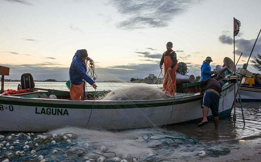 Santa Catarina pede revisão de cota de pesca da tainha para 2023