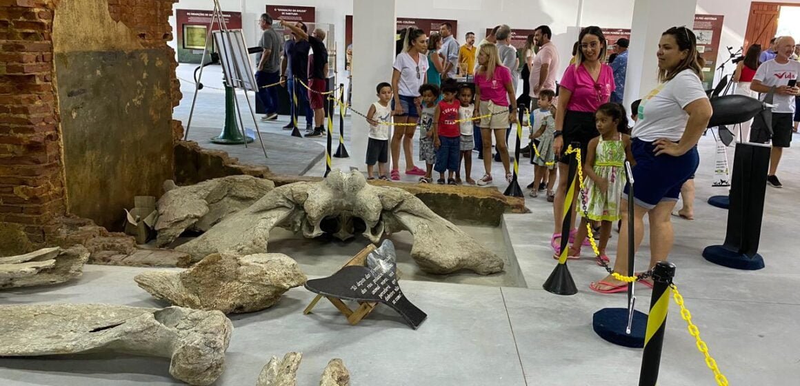 Após seis anos fechado, Museu Nacional da Baleia Franca em Imbituba é reinaugurado