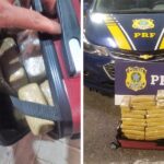 Adolescente é apreendida levando mais de 19 quilos de maconha em bagageiro de ônibus