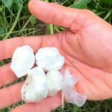 Polícia Militar apreende noventa pedras de crack em Tubarão; VÍDEO Polícia Militar apreende noventa pedras de crack em Tubarão; VÍDEO