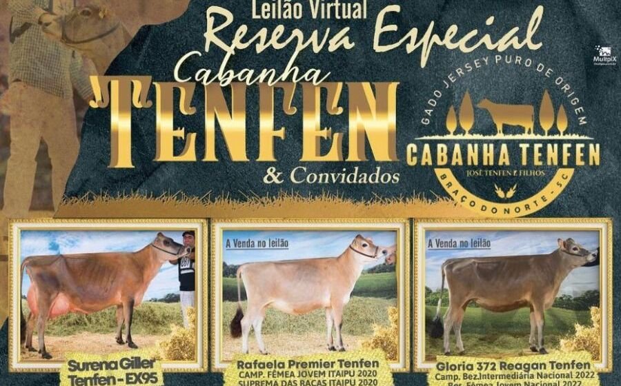 Reserva Especial da Cabanha Tenfen alcança médias impressionantes e bate recorde nacional Reserva Especial da Cabanha Tenfen alcança médias impressionantes e bate recorde nacional