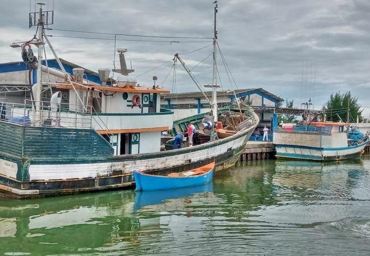 Porto de Laguna tem recorde na safra da sardinha em março