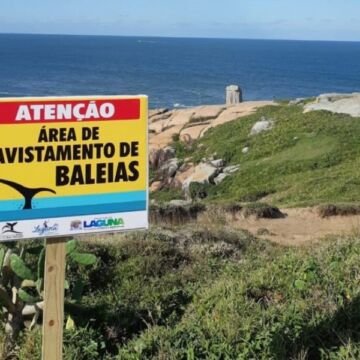 Turismo Responsável: Placas indicam pontos de avistamento de baleias e do boto pescador” Turismo Responsável: Placas indicam pontos de avistamento de baleias e do boto pescador”