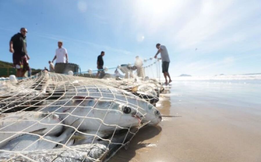 Sepagri faz vistorias para orientar pescadores sobre cumprimento da legislação durante a safra da tainha