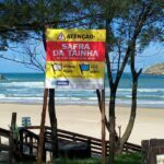 Safra da tainha: sistema de bandeiras indica os dias de pesca e de surfe em Imbituba