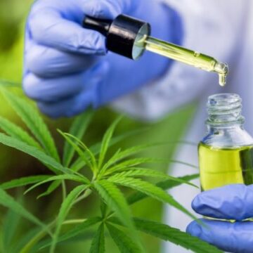 Prefeito de Laguna veta projeto de lei que prevê acesso ao Canabidiol para uso medicinal Prefeito de Laguna veta projeto de lei que prevê acesso ao Canabidiol para uso medicinal