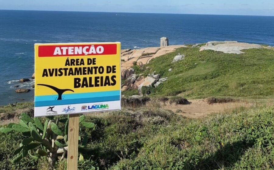 Placas sinalizam lugares de avistamento de baleias francas em Laguna