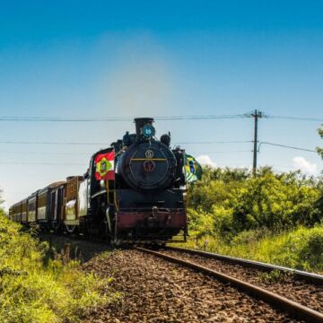 Museu Ferroviário promove passeio de trem com temática de festa julina em julho Museu Ferroviário promove passeio de trem com temática de festa julina em julho